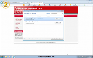 Internet Explorer 9 - Gestor de descargas