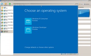 Windows 8 - Selección de tipo de sistema